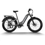Himiway Zebra D5 Electric Bike, 750W Motor 48V 20Ah Removable Battery 80Miles Range E-Bike for Adults, 26x4 Tire 400lbs Payload, Hydraulic Brakes, 25Mph, 7-Speed