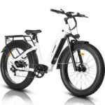 HAOQI Eagle Electric Bike for Adults, Fat Tire Ebike with 750W Motor 48V 20Ah Removable LG Battery, 26x4.0 Mountain E Bike to 28MPH with 7-Speed