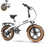 Folding Electric Bike for Adults, 750W Motor(1000W Peak),30MPH, 60Mile,48V 12.8AH/15AH/20AH Battery,20" Fat Tire Foldable Electric Bicycle,Commuter Beach Snow E-Bikes,7-Speed…
