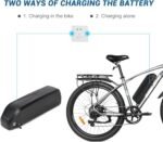 GESHENG A8 Ebike Battery Hailong 48V 15AH Electirc Bike Battery for A8 Electric Bike Adults - Image 7