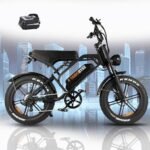 V20 3.0 Ebike 1000W Brushless Motor, 48V/15Ah Lithium Battery, 20" x4.0 Fat Tire, Snow, Road, Mountain Adventure Electric Bicycle
