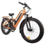 BEE Cool Explorer Long Range Full Suspension Electric Bike for Adults, 750W Mountain eBike, 80MI Range, 48V 21Ah Battery 26"x4" Fat Tire, 350LBS Payload, 28MPH, 7 Speed from Bikes