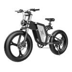 Electric Bicycle for Adult,2000W Motor Electric Bike, 48V 25/30AH Removable Battery, 30MPH, 20" x 4.0 Fat Tire EBike 7 Speed Electric Mountain Bike