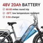 Himiway Big Dog 20X4'' Fat Tire Electric Bike Cargo Ebike 750W 48V 20Ah Removable Battery - Image 3