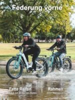 HAOQI Eagle Electric Bike for Adults, Fat Tire Ebike with 750W Motor 48V 20Ah Removable LG Battery, 26x4.0 Mountain E Bike to 28MPH with 7-Speed - Image 5