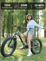 HAOQI 750W (Peak 1000W) Cheetah Electric Bike for Adults, 48V 16AH/25Ah Removable Batteries Ebike, Brushless Motor up to 28MPH, 7-Speed, 26" x 4.0 Fat Tire Mountain Bike,UL 2849 Certified - Image 4