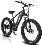 HAOQI 750W(Peak 1000W) Leopard Pro Electric Bike for Adults, 48V 20AH Removabl Battery Mountain Bike,26" x 4.0 Fat Tire Ebike with 28MPH, 7-Speed,UL 2849 Certified