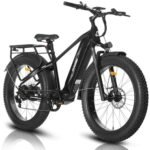 HAOQI Eagle Electric Bike for Adults, Fat Tire Ebike with 750W Motor 48V 20Ah Removable LG Battery, 26x4.0 Mountain E Bike to 28MPH with 7-Speed