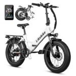 Folding Electric Bike 20" x 4.0 Fat Tire Electric Bicycle,48V Lithium Removable Battery,Peak 720W Folding Ebike for Adult,5 Pedal-Assist Levels& Large LCD Display,Step Through ebike for Adult