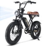 CycRun Electric Bike for Adults 750W Motor with 374.4WH Battery, 20MPH 55Miles Moped Style Ebike for Adults, 20" Fat Tire Commuting Off Road Mountain Ebike with Hydraulic Suspension, UL2849