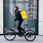 VARUN Electric Bike for Adults, 350W 20MPH Commuter Ebike with 36V Removable Battery, 24'' Electric Mountain Bike with Front Fork Suspension and Dual Disc Brakes - Image 6